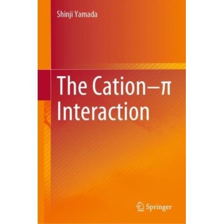 The Cation–p Interaction