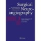 Surgical Neuroangiography: Vol. 3: Clinical and Interventional Aspects in Children