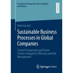 Sustainable Business Processes in Global Companies: Current Perspectives and Future Trends in Regard to Efficiency and Risk Management