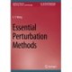 Essential Perturbation Methods