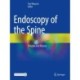Endoscopy of the Spine: Principle and Practice