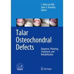 Talar Osteochondral Defects: Diagnosis, Planning, Treatment, and Rehabilitation