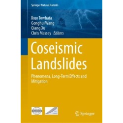 Coseismic Landslides: Phenomena, Long-Term Effects and Mitigation
