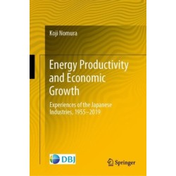 Energy Productivity and Economic Growth: Experiences of the Japanese Industries, 1955–2019
