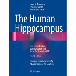 The Human Hippocampus: Functional Anatomy, Vascularization and Serial Sections with MRI