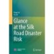 Glance at the Silk Road Disaster Risk