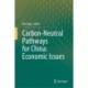Carbon-Neutral Pathways for China: Economic Issues