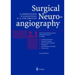 Surgical Neuroangiography: Vol.2: Clinical and Endovascular Treatment Aspects in Adults