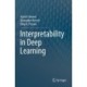 Interpretability in Deep Learning