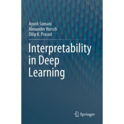 Interpretability in Deep Learning