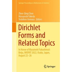 Dirichlet Forms and Related Topics: In Honor of Masatoshi Fukushima’s Beiju, IWDFRT 2022, Osaka, Japan, August 22–26