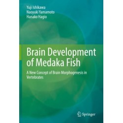 Brain Development of Medaka Fish: A New Concept of Brain Morphogenesis in Vertebrates