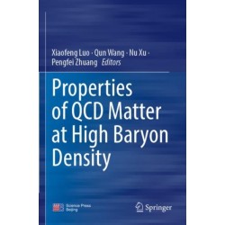 Properties of QCD Matter at High Baryon Density