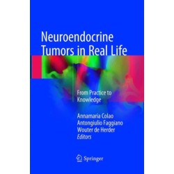 Neuroendocrine Tumors in Real Life: From Practice to Knowledge