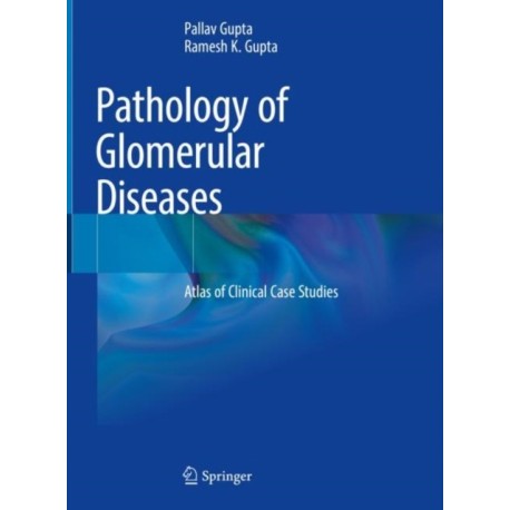 Pathology of Glomerular Diseases: Atlas of Clinical Case Studies