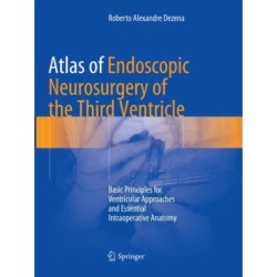 Atlas of Endoscopic Neurosurgery of the Third Ventricle: Basic Principles for Ventricular Approaches and Essential Intraoperative Anatomy