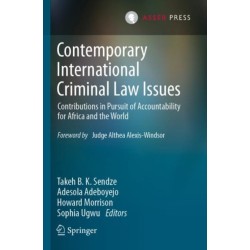 Contemporary International Criminal Law Issues: Contributions in Pursuit of Accountability for Africa and the World