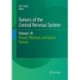Tumors of the Central Nervous System, Volume 10: Pineal, Pituitary, and Spinal Tumors