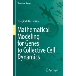 Mathematical Modeling for Genes to Collective Cell Dynamics