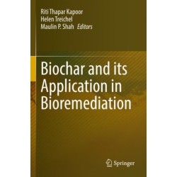 Biochar and its Application in Bioremediation