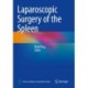 Laparoscopic Surgery of the Spleen