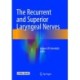 The Recurrent and Superior Laryngeal Nerves