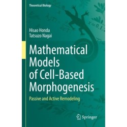 Mathematical Models of Cell-Based Morphogenesis: Passive and Active Remodeling