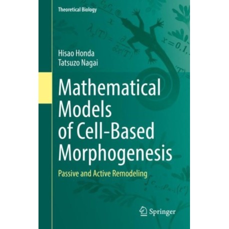 Mathematical Models of Cell-Based Morphogenesis: Passive and Active Remodeling