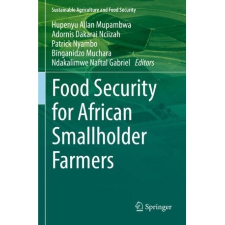 Food Security for African Smallholder Farmers