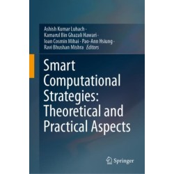 Smart Computational Strategies: Theoretical and Practical Aspects