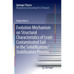 Evolution Mechanism on Structural Characteristics of Lead-Contaminated Soil in the Solidification/Stabilization Process