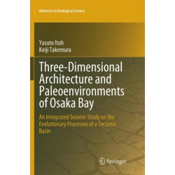 Three-Dimensional Architecture and Paleoenvironments of Osaka Bay: An Integrated Seismic Study on the Evolutionary Processes of a Tectonic Basin