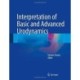Interpretation of Basic and Advanced Urodynamics