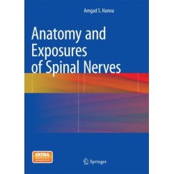 Anatomy and Exposures of Spinal Nerves
