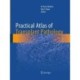 Practical Atlas of Transplant Pathology