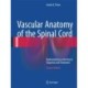 Vascular Anatomy of the Spinal Cord: Radioanatomy as the Key to Diagnosis and Treatment