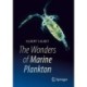 The Wonders of Marine Plankton