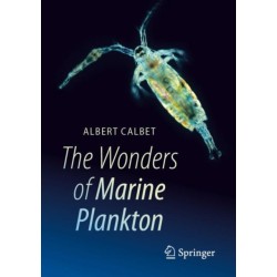 The Wonders of Marine Plankton