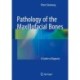 Pathology of the Maxillofacial Bones: A Guide to Diagnosis