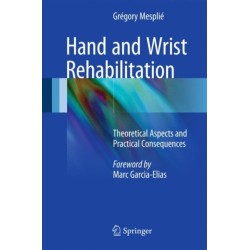 Hand and Wrist Rehabilitation: Theoretical Aspects and Practical Consequences