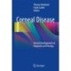 Corneal Disease: Recent Developments in Diagnosis and Therapy