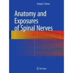 Anatomy and Exposures of Spinal Nerves