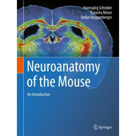 Neuroanatomy of the Mouse: An Introduction