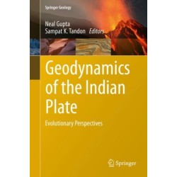 Geodynamics of the Indian Plate: Evolutionary Perspectives