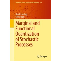 Marginal and Functional Quantization of Stochastic Processes