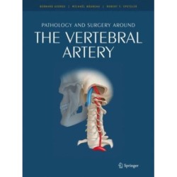 Pathology and surgery around the vertebral artery