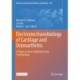 Electromechanobiology of Cartilage and Osteoarthritis: A Tribute to Alan Grodzinsky on his 75th Birthday