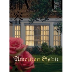 Roe Ethridge - American Spirit