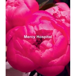 Ida Applebroog: Mercy Hospital
