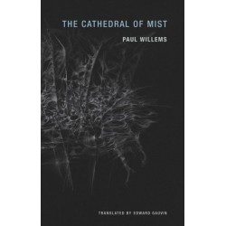 The Cathedral of Mist